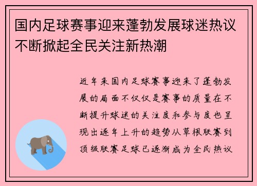 国内足球赛事迎来蓬勃发展球迷热议不断掀起全民关注新热潮